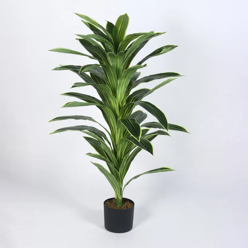 Everlyn Artificial Dracaena Plant With Black Fiber Pot - 4.6 Feet media 7