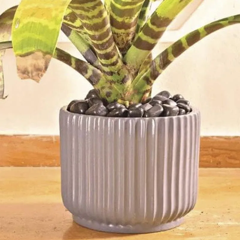 Ugaoo Phoenix Ceramic Pot (25 CM) - Grey media 4