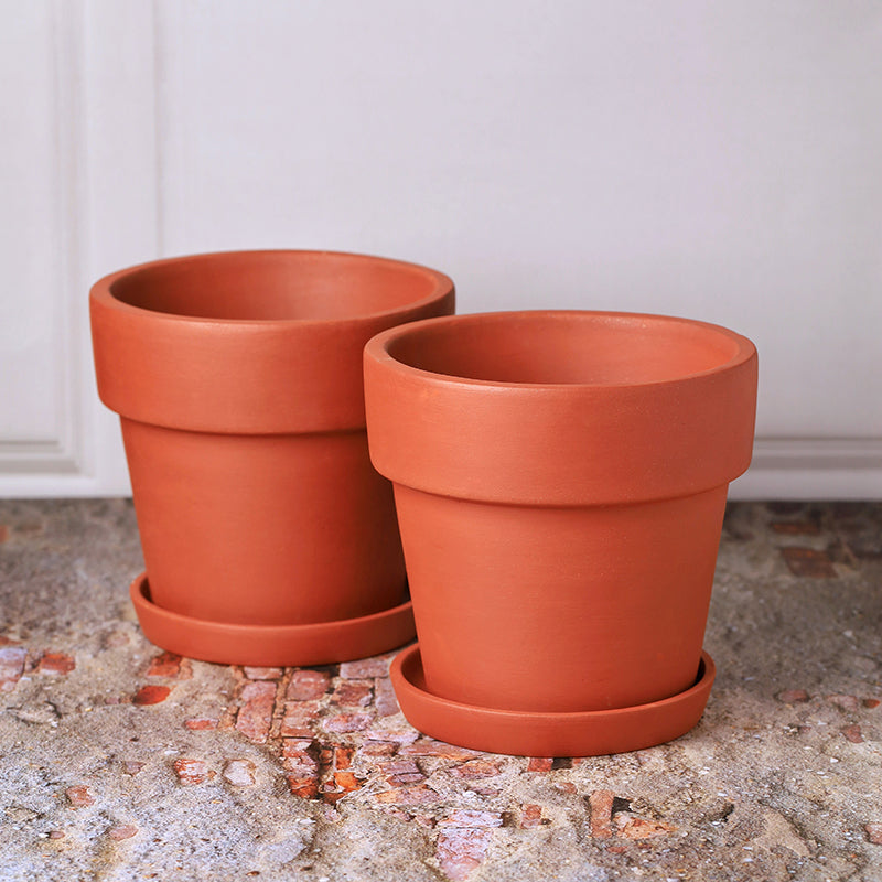 Rusticana Terracotta Planter - Set Of Two media 4