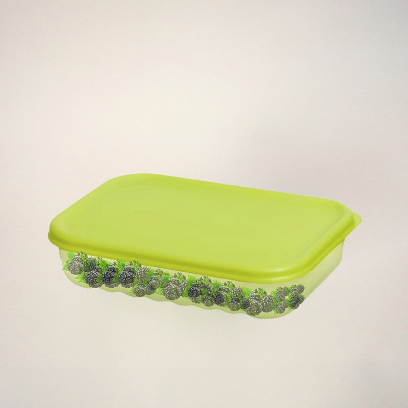 Elvya Compact Container (760 mL Each) - Set Of Two media 5