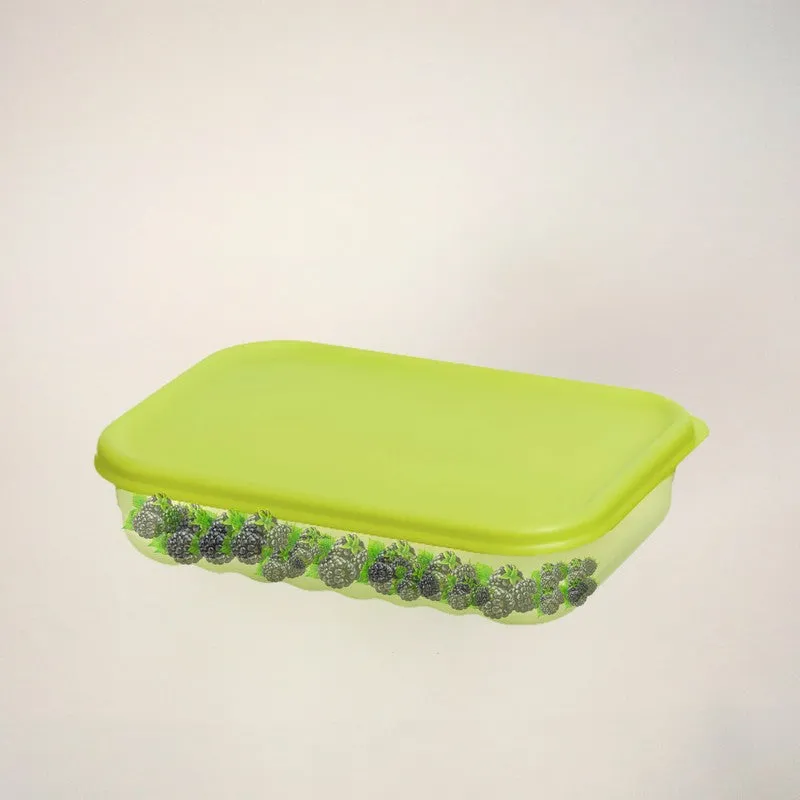 Elvya Compact Container (760 mL Each) - Set Of Two media 5