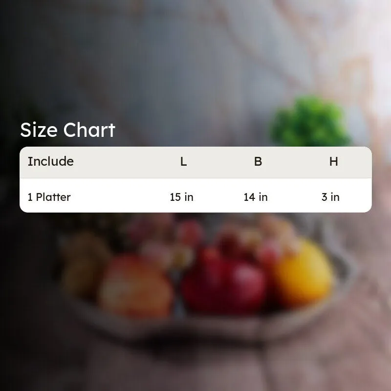 Vindow Aluminum Platter media 4