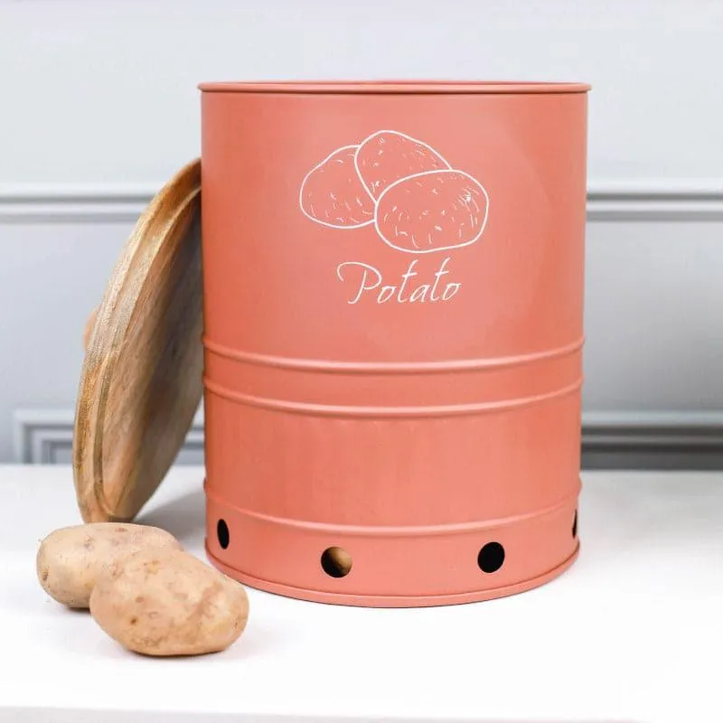 Ferrous Fun Round Potato Box - 14 L media 1
