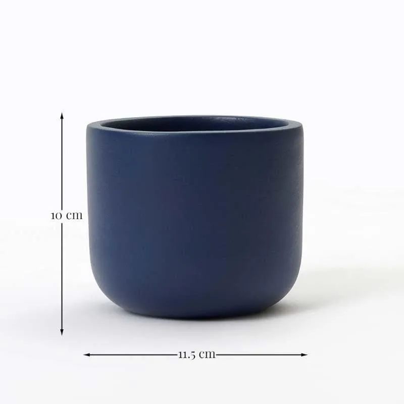 Oh-So Cute Planter- Blue media 4