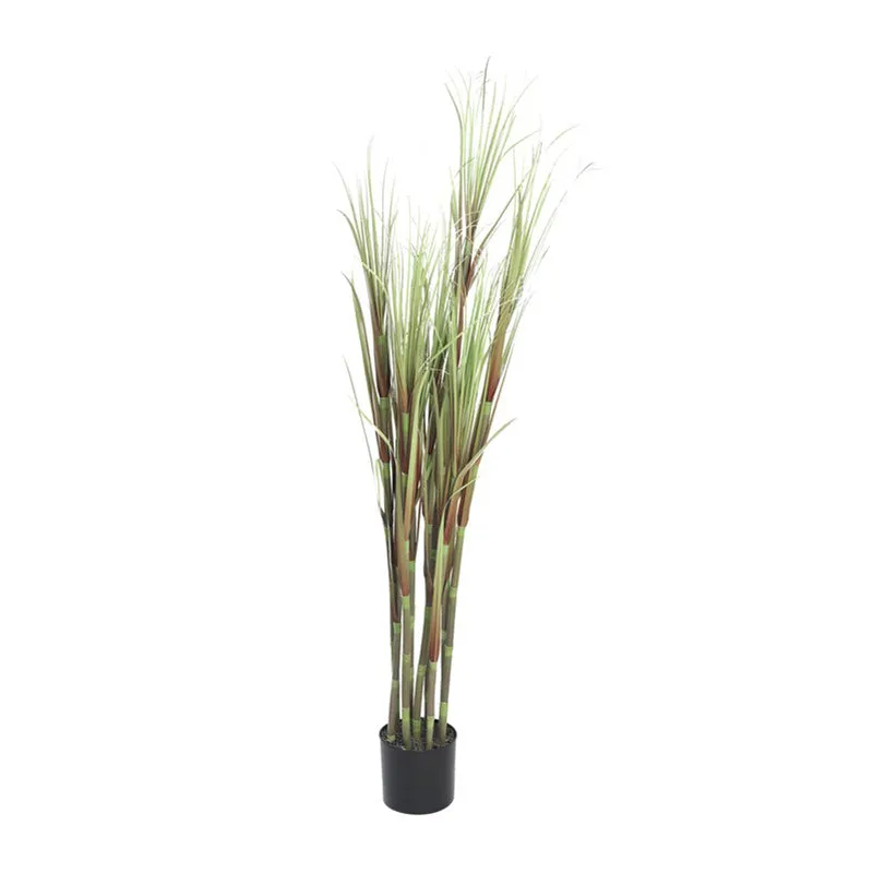 FreshNest Artificial Plant With Black Plastic Pot - 5.9 ft media 4