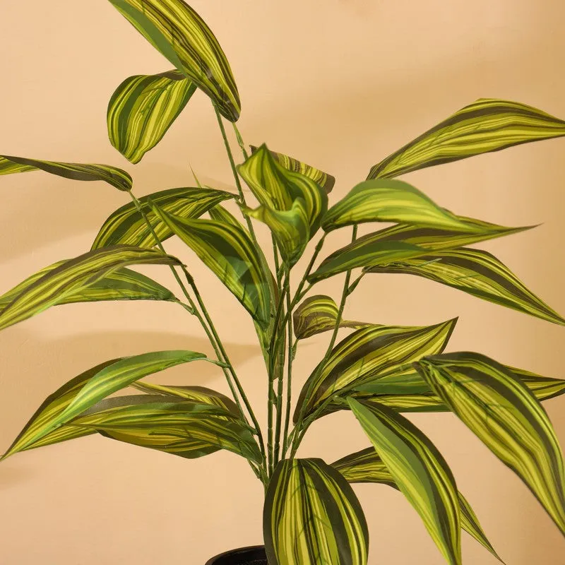 Artificial Decorative Croton Plant Without Pot (2 Ft) - Set Of Two media 6