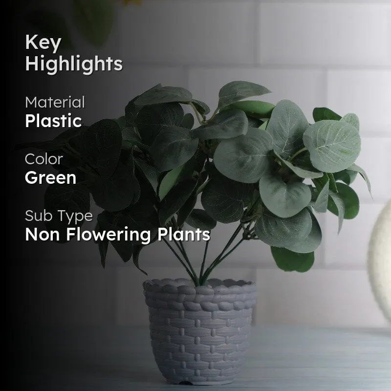Foliyaj Artificial Green Eucalyptus Plant in Grey Pot media 2