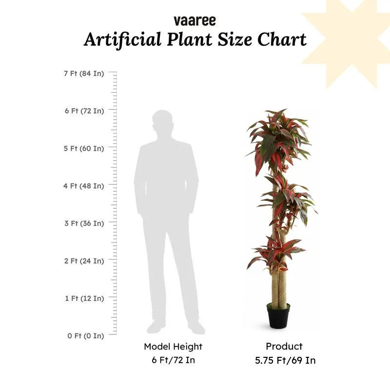 Everloft Artificial Dracaena Green Tree With Black Plastic Pot 5.7 ft media 7