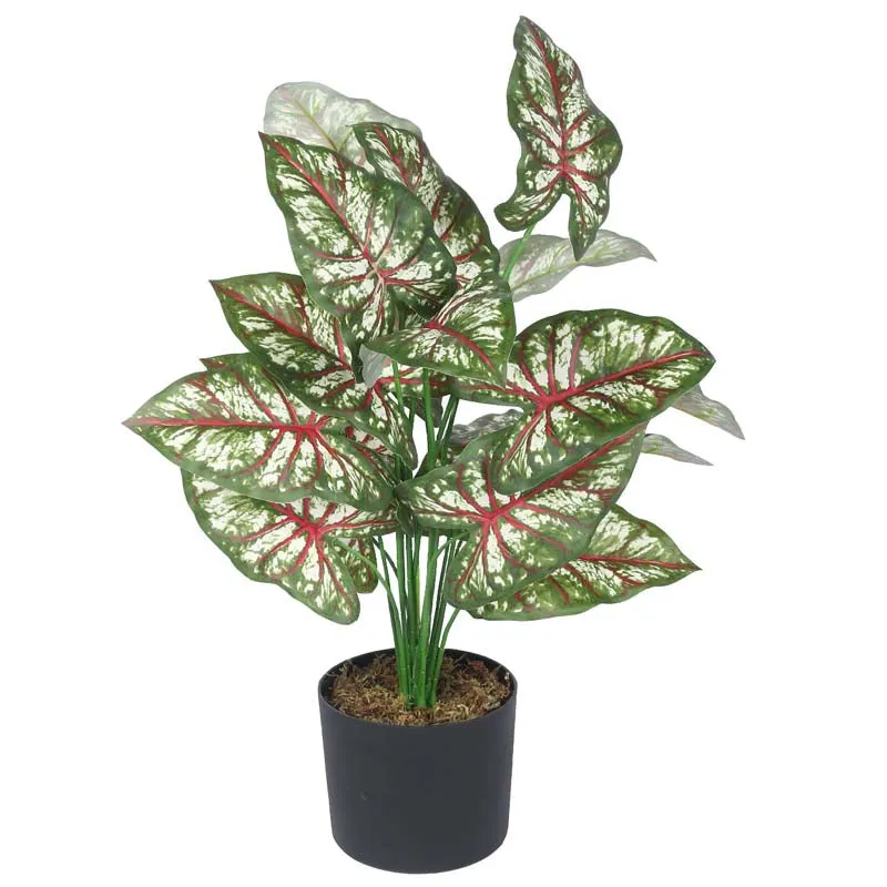 Faux Lush Caladium Plant With Black Plastic Pot - 2.3 Feet media 4