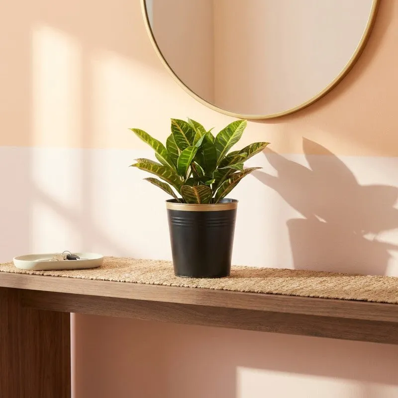 Leafora Iron Planter - Black media 5
