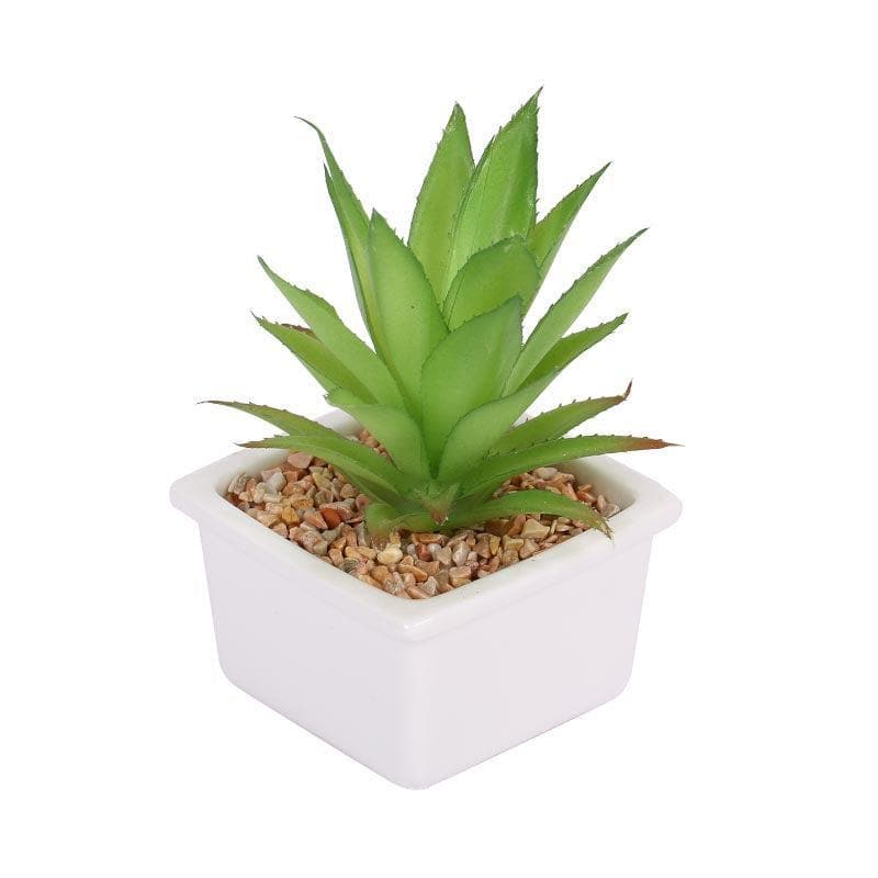 Faux Agave In White Pot - 14.5 cms media 4