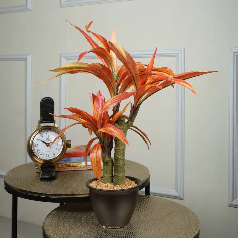 Artificial Orange Dracaena Bonsai Plant With White Ceramic Pot - 1.8 Feet media 1