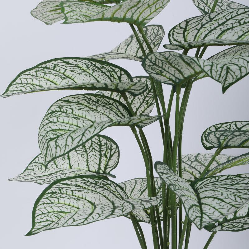 Faux Tropica Dieffenbachia Silk Plant With Black Plastic Pot - 2.13 ft media 5