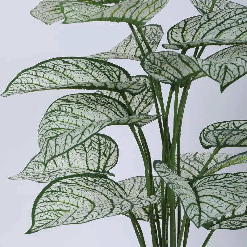Faux Tropica Dieffenbachia Silk Plant With Black Plastic Pot - 2.13 ft media 5
