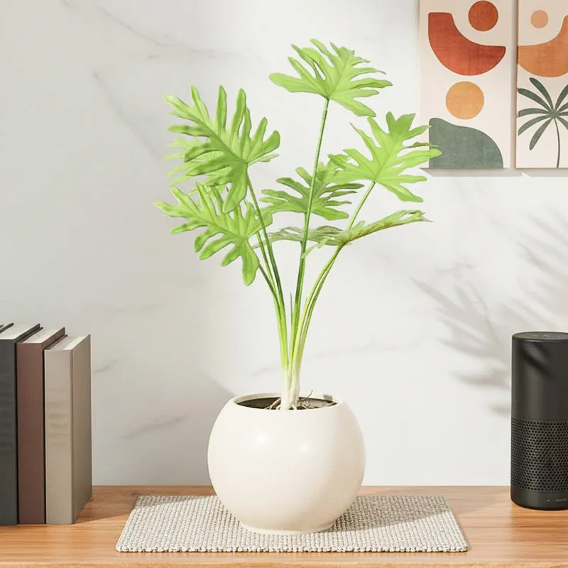 Eden Oasis Artificial Plant With Black Plastic Pot media 1