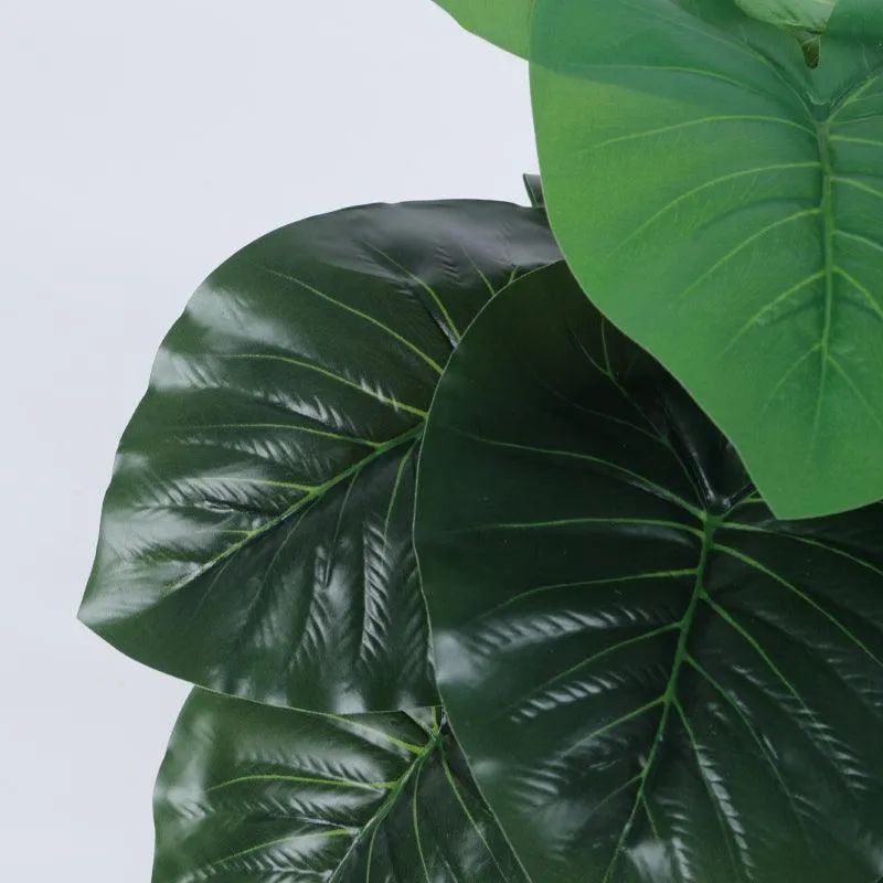 Faux Rubber Silk Plant With Black Plastic Pot - 55 cms media 4