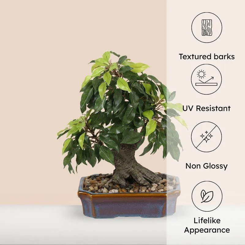 Faux Ficus Bonsai In Tray Pot - 37 cms media 4