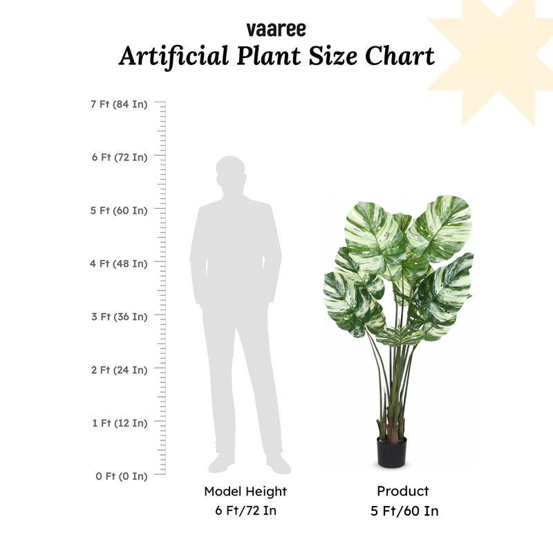 Faux Lush Variegated Monstera Plant With Black Plastic Pot - 5 Feet media 6