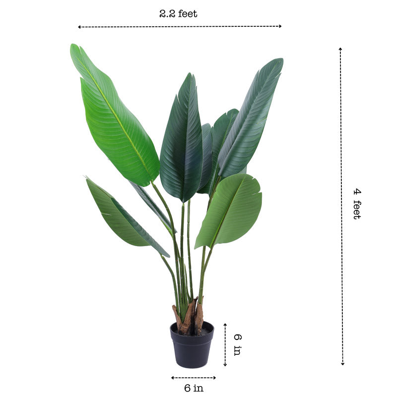 Artificial Realistic Banana Plant With Black Plastic Pot - 3.9 Feet media 8