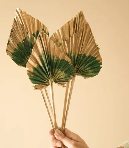 Dried Flowers & Leaves