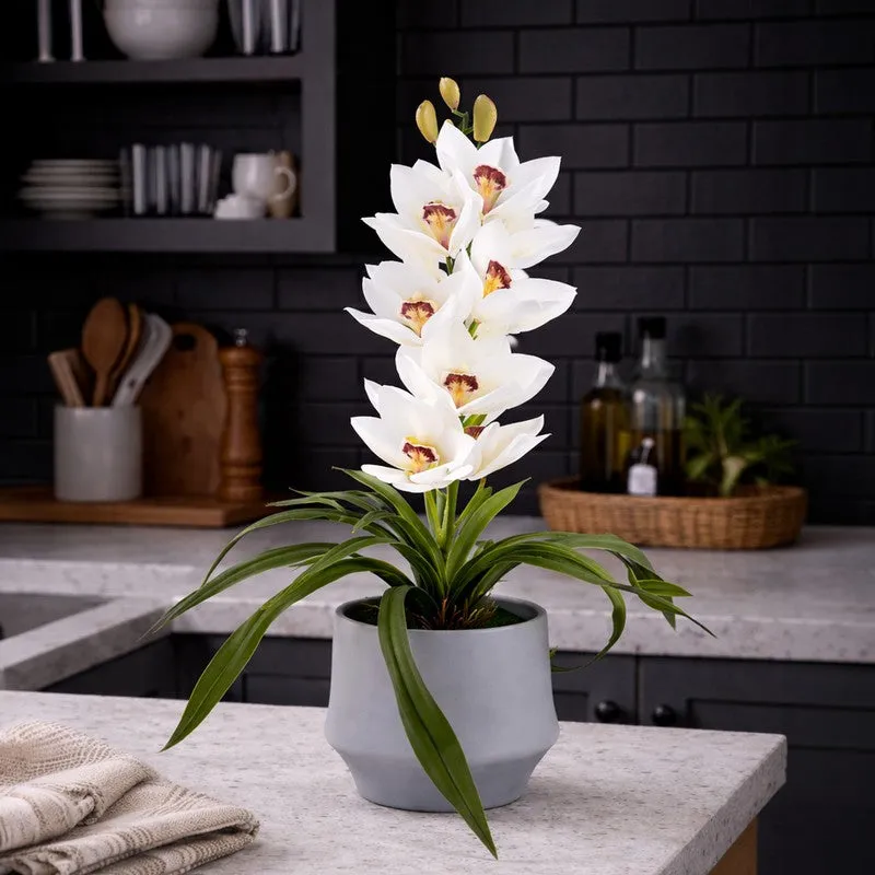 AarviDecor Ivory Orchid Silk Artificial Plants media 4