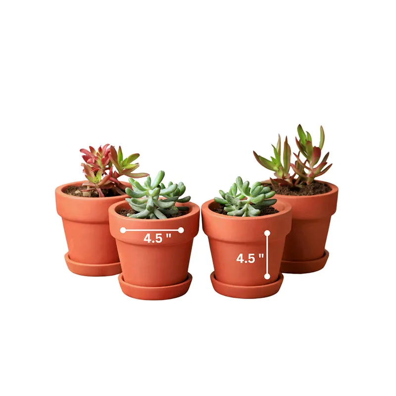 Rusticana Terracotta Planter - Set Of Four media 5