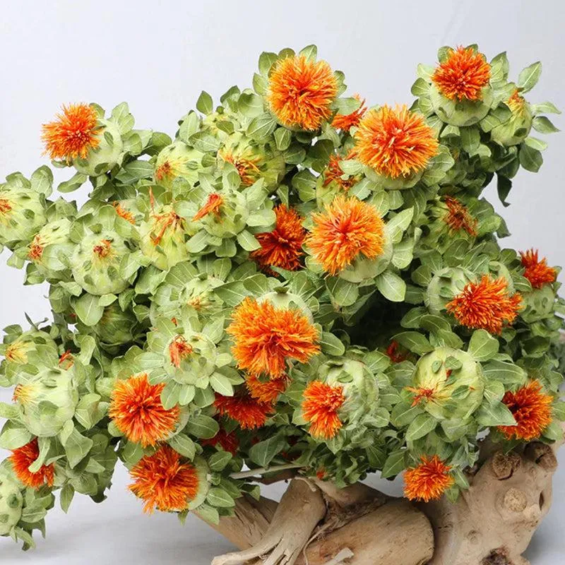 Dried Safflower - Set Of Five media 4