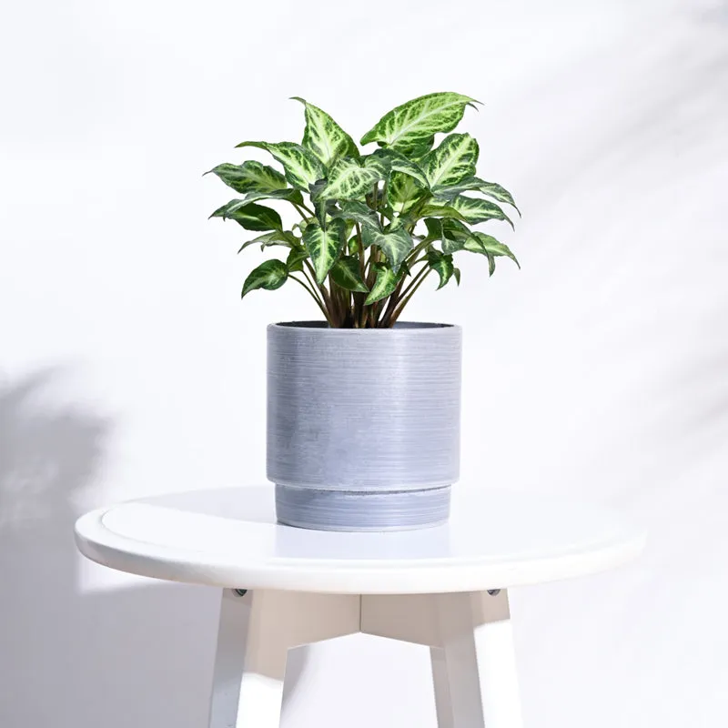 UGAOO Oslo Planter for Home & Balcony Garden- Light Grey media 3