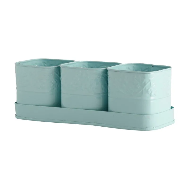 CanopyCup Planters with Tray - Blue media 5