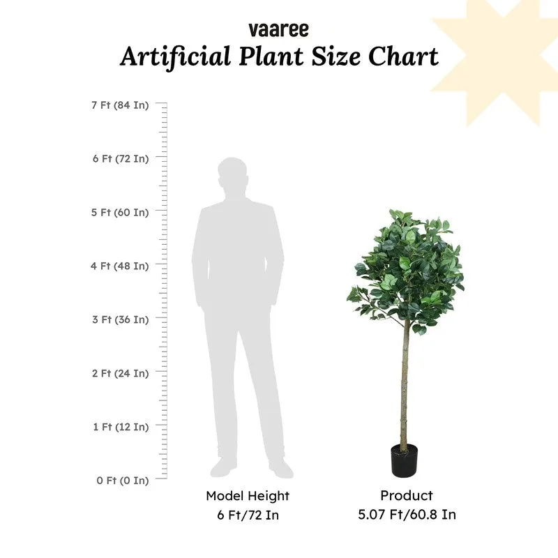 Artificial Topiary Camelia Leaf Plant With Black Fiber Pot - 5 Feet media 7