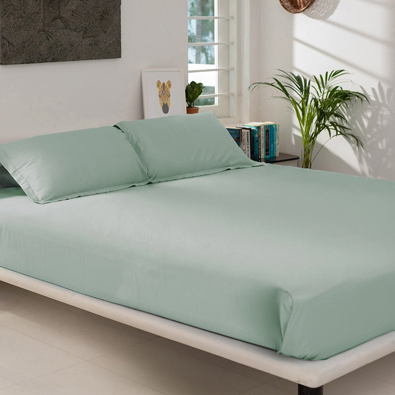 Maison Fitted Solid Cotton Bedsheet (Sage Green) - 400 TC media 8