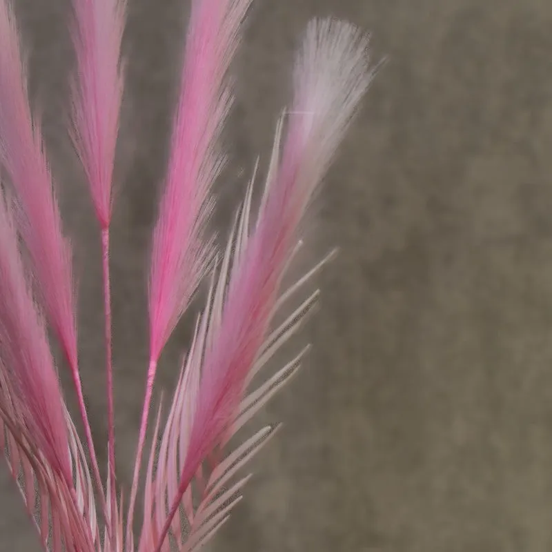 Real Look Artificial Pampas Flower - Pink media 6