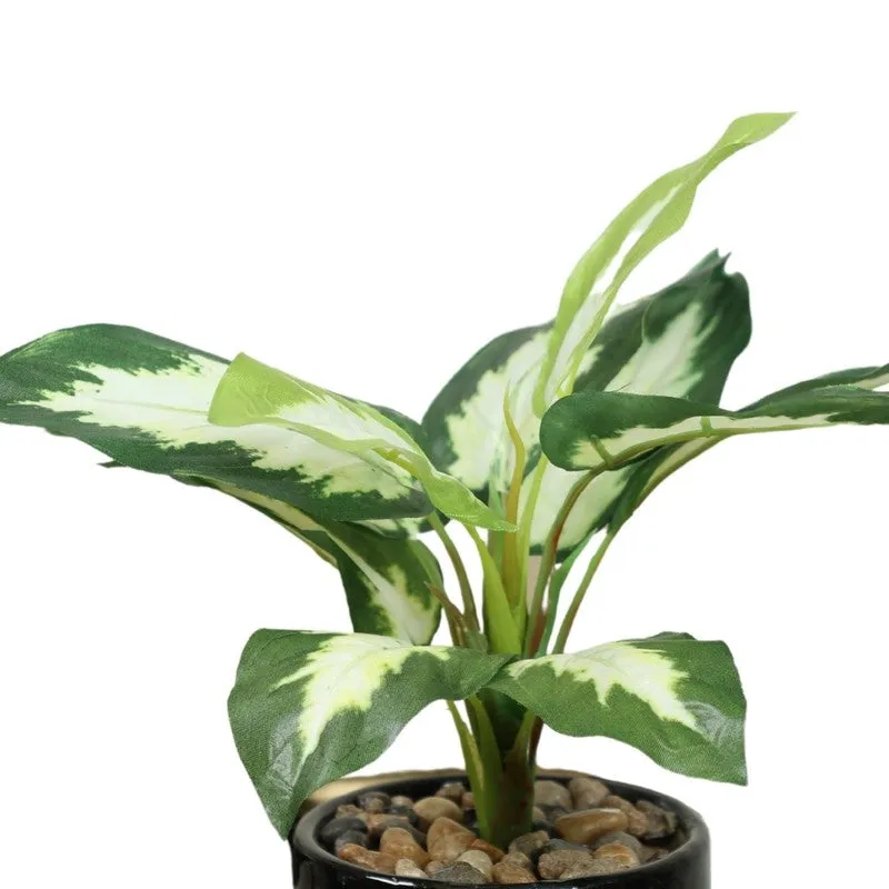 Artificial White Dieffenbachia Bonsai Plant With Ceramic Pot - 0.7 Feet media 4