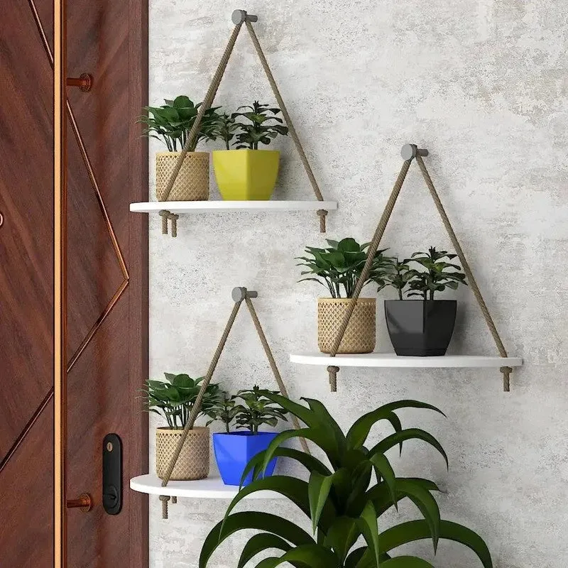 Color Pop (MDF,Wood) Shelves - Set Of Three media 4