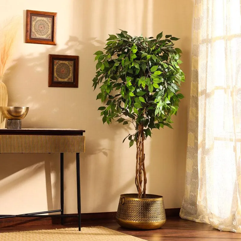 Artificial Realistic Ficus Plant With Black Plastic Pot - 5.9 Feet media 1