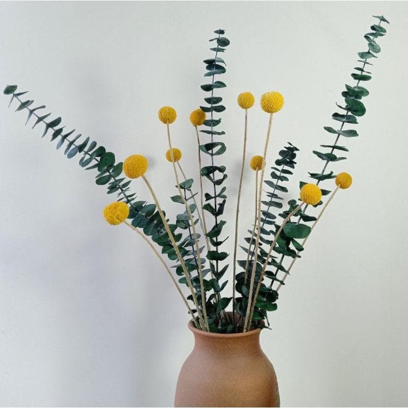 Dried Flowers & Leaves