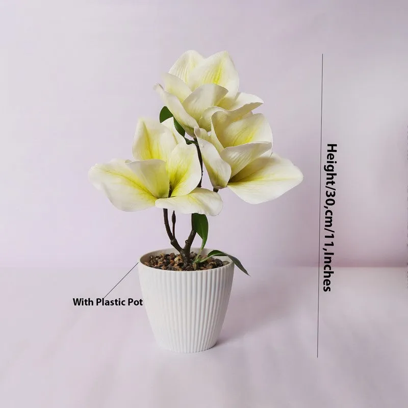 Magnolia Artificial Flower Plant With Black Plastic Pot - White,Yellow media 5