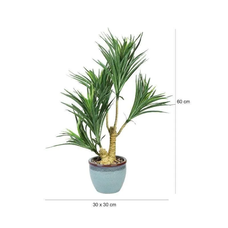 Faux Yucca Bonsai In Bowl Pot - 60 cms media 4