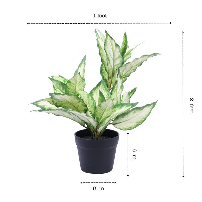 Artificial Realistic Variegated Dieffenbachia With Black Plastic Pot - Green media 8