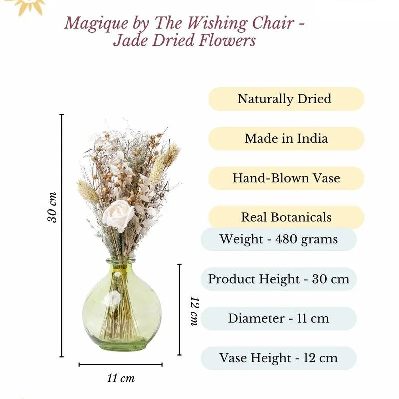 Product information image showing dried flowers in vase with dimensions