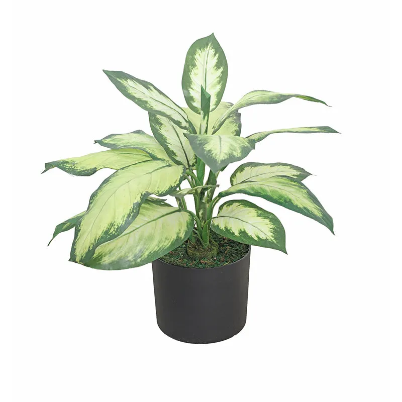 Serene Sprout Artificial Plant With Black Plastic Pot media 3