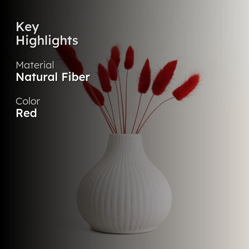 (Red) Bunny Tail Ornamental Grass (60 cms) - Set Of Fifteen media 2
