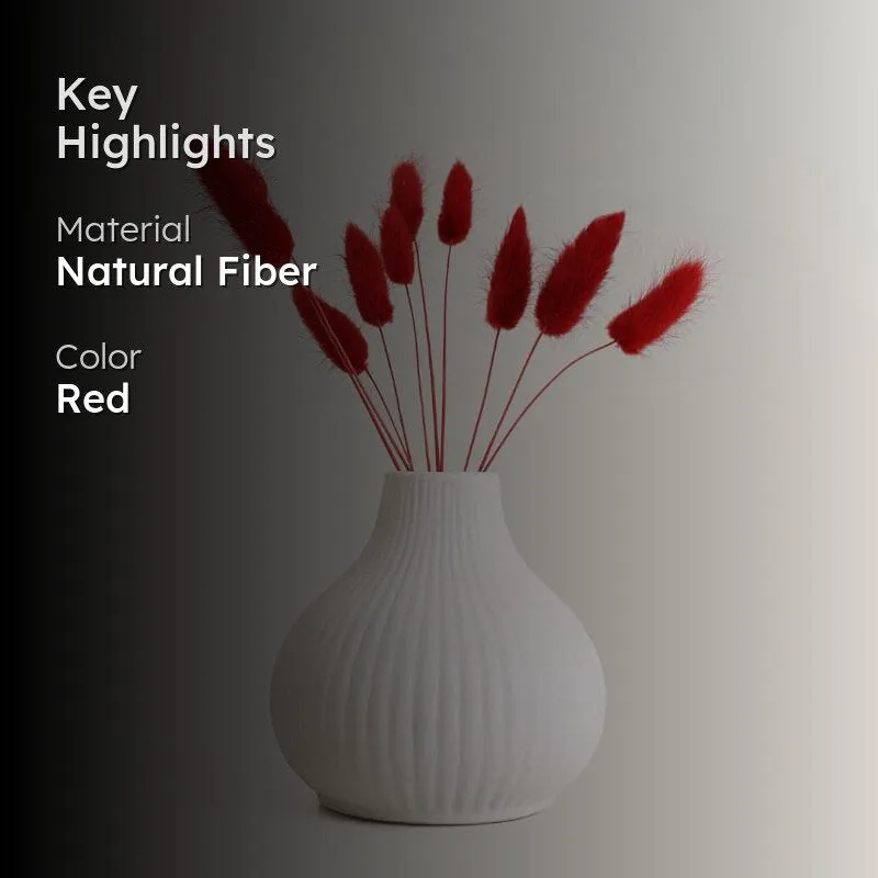 (Red) Bunny Tail Ornamental Grass (60 cms) - Set Of Fifteen media 2