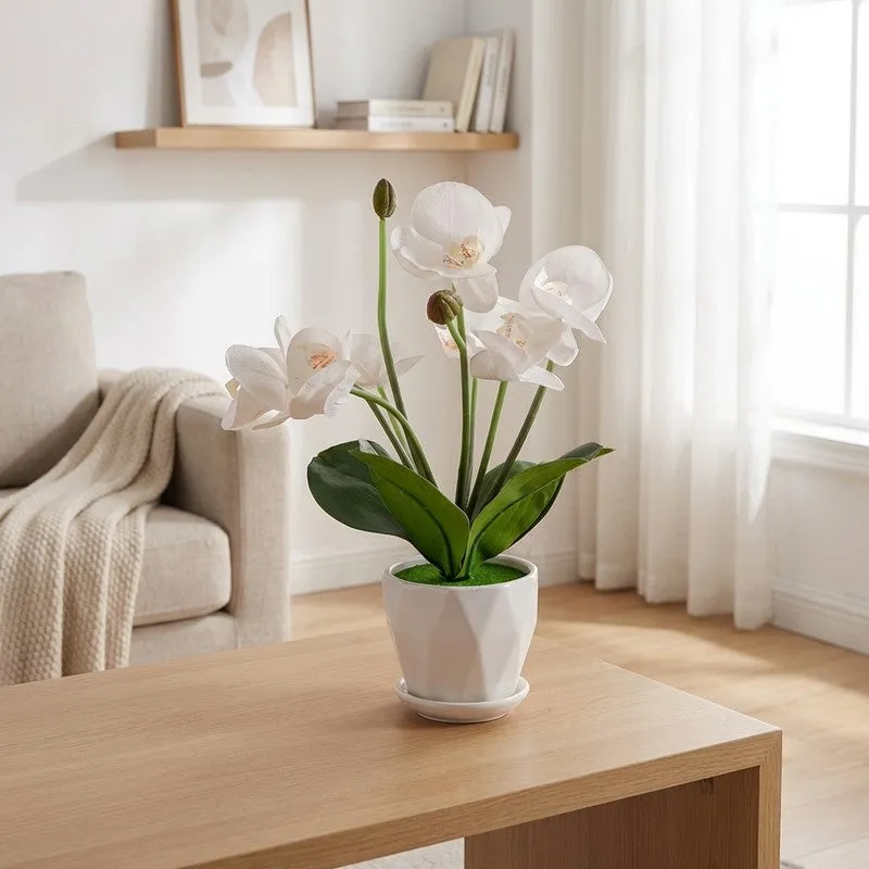 AarviDecor Elegant Bloom Silk Artificial Plants media 1