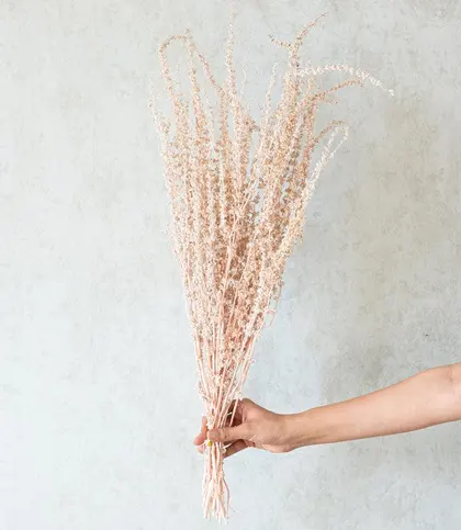 Dried Flowers & Leaves
