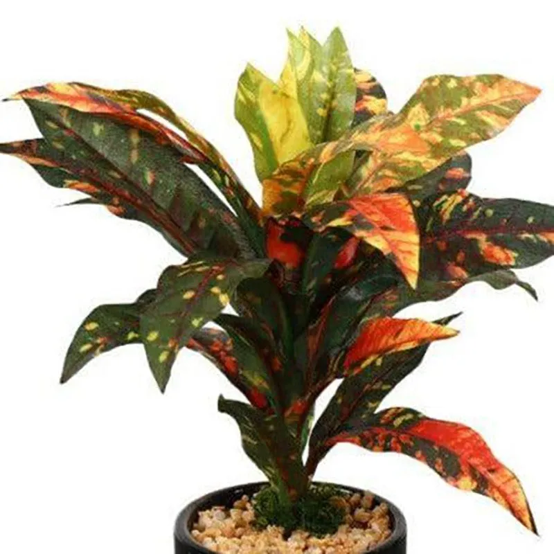 Faux Dracaena Bonsai (24 cms) - Yellow media 3