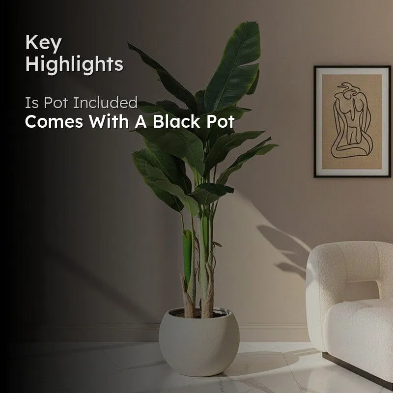 Faux Realtouch Banana Plant With Black Plastic Pot - 5.9 Feet media 2