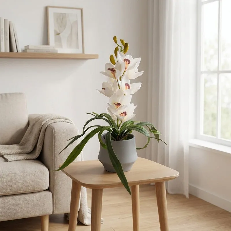 AarviDecor Ivory Orchid Silk Artificial Plants media 1