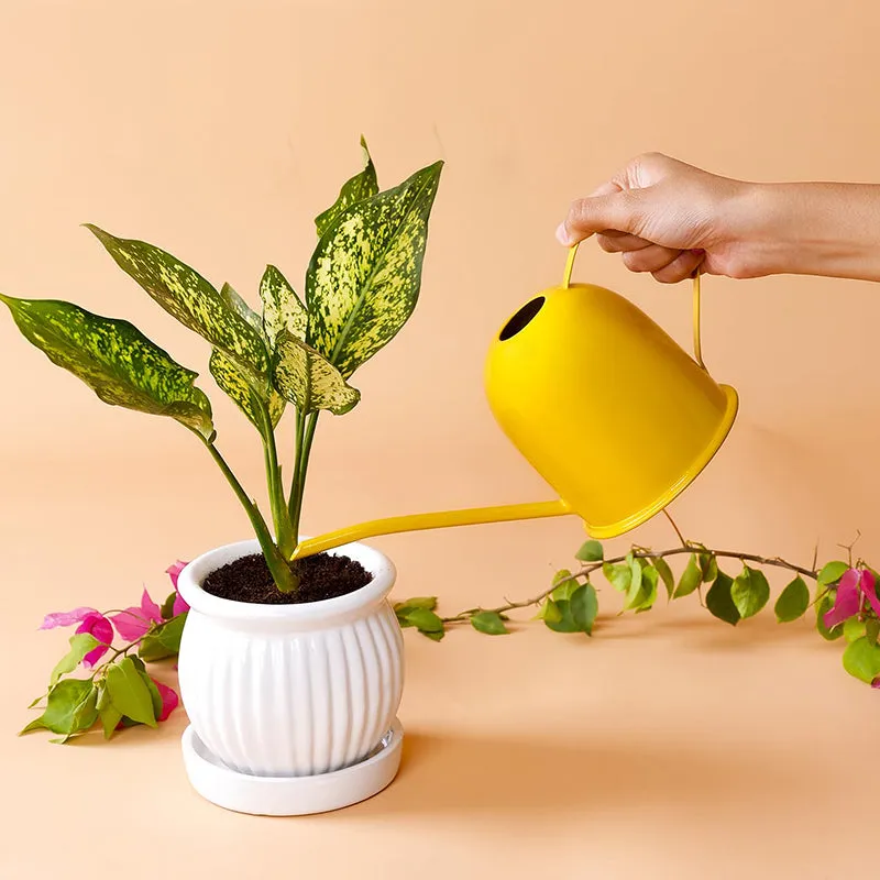 Driv Metal Watering Can media 5
