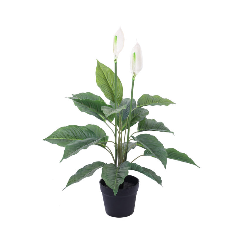 Artificial Realistic Peace Lily Plant With Black Plastic Pot - 2.5 Feet media 3